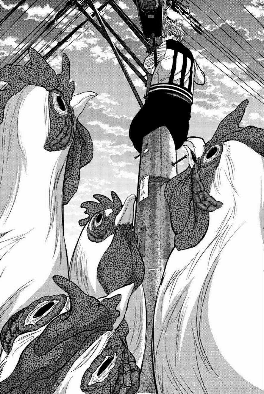 Tiếng Gáy Sát Thủ - Chapter 14 - Trang 16