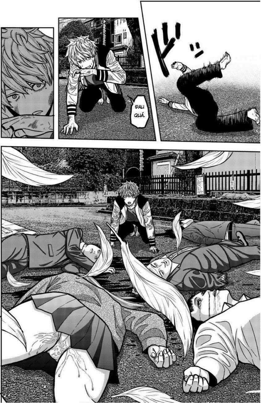 Tiếng Gáy Sát Thủ - Chapter 14 - Trang 8