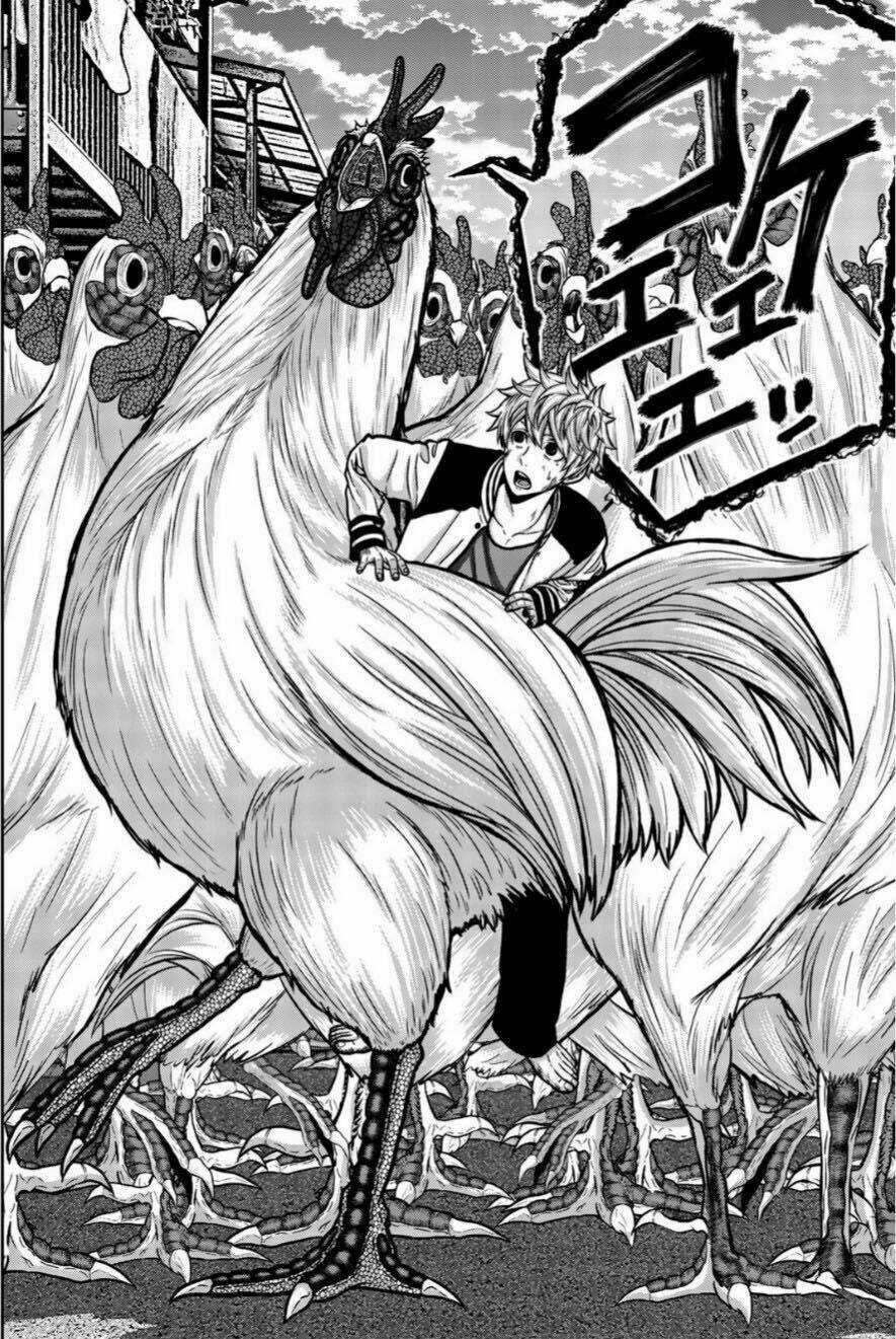 Tiếng Gáy Sát Thủ - Chapter 15 - Trang 2