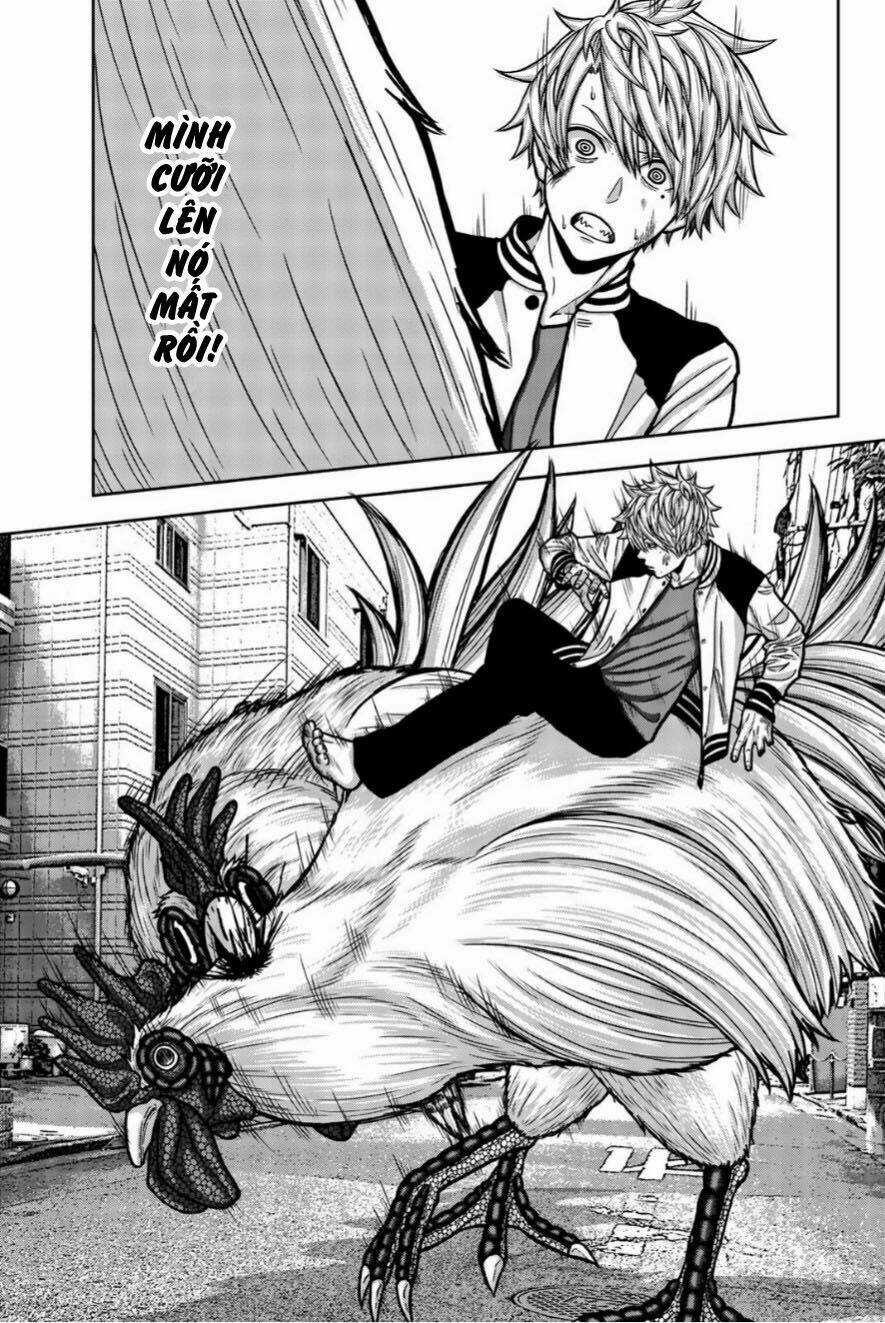 Tiếng Gáy Sát Thủ - Chapter 15 - Trang 3