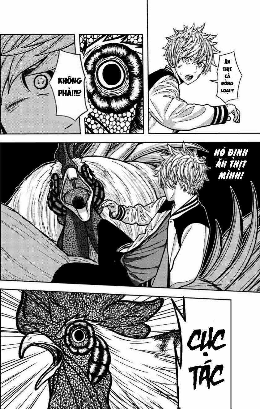 Tiếng Gáy Sát Thủ - Chapter 15 - Trang 4