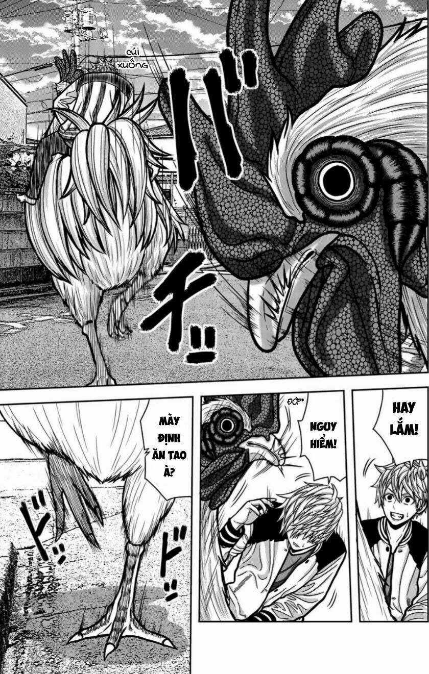 Tiếng Gáy Sát Thủ - Chapter 15 - Trang 5