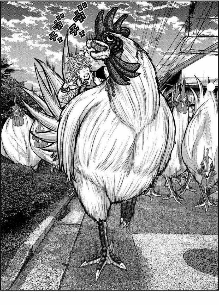 Tiếng Gáy Sát Thủ - Chapter 15 - Trang 6