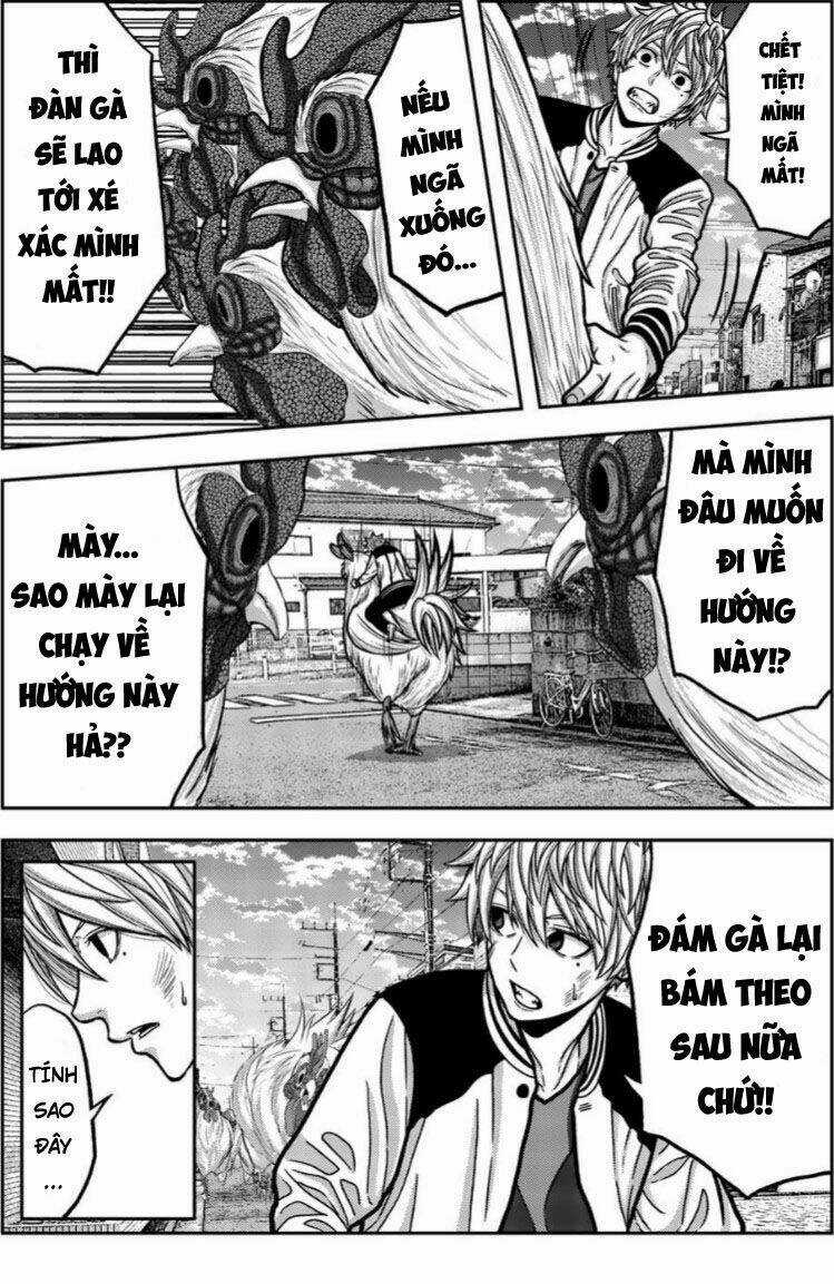 Tiếng Gáy Sát Thủ - Chapter 15 - Trang 7