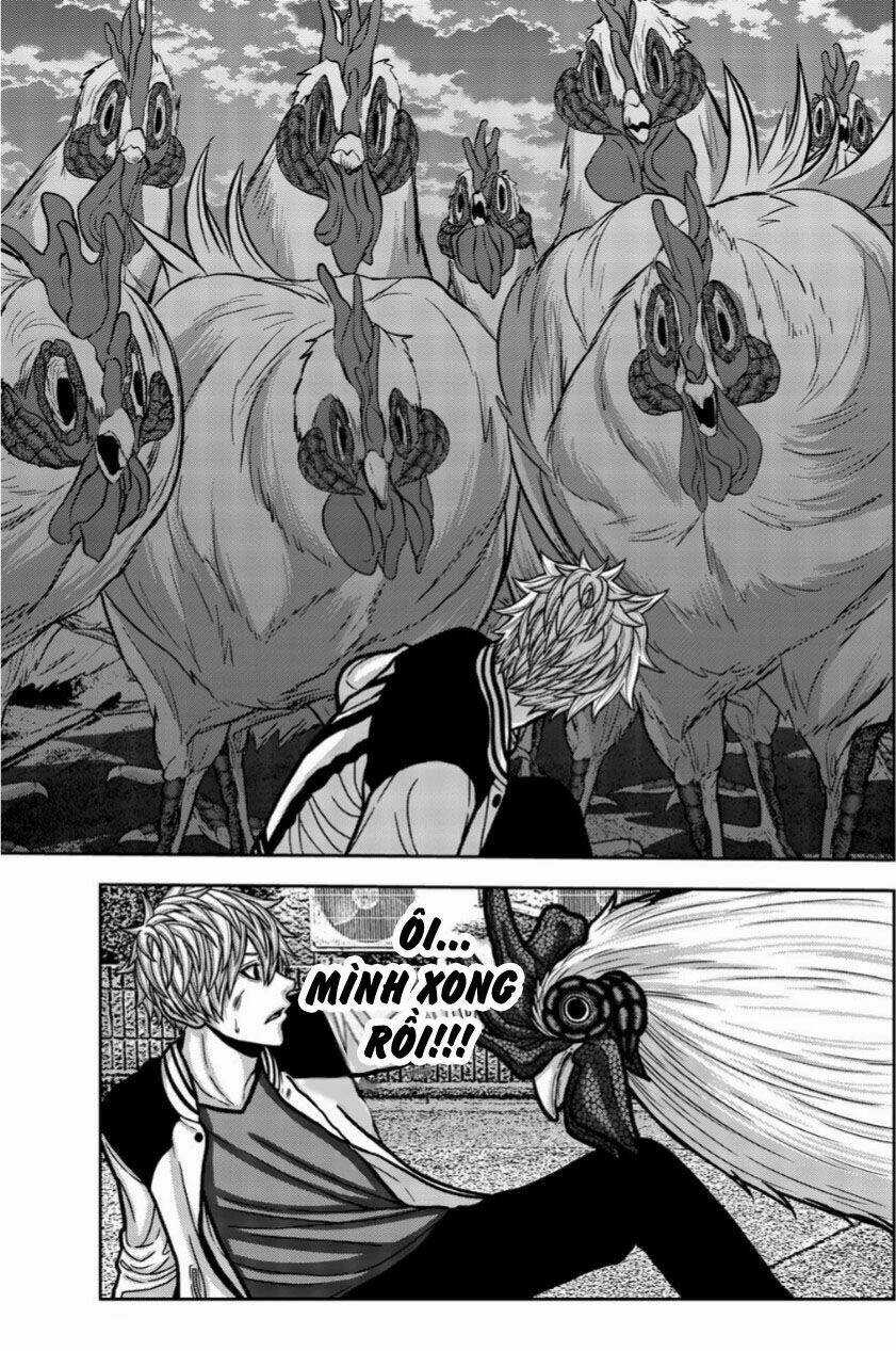 Tiếng Gáy Sát Thủ - Chapter 15 - Trang 10