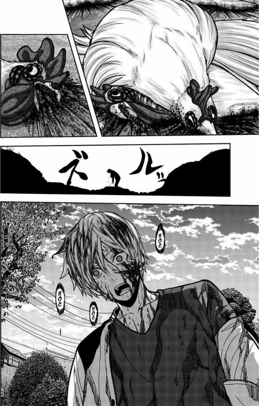 Tiếng Gáy Sát Thủ - Chapter 16 - Trang 2