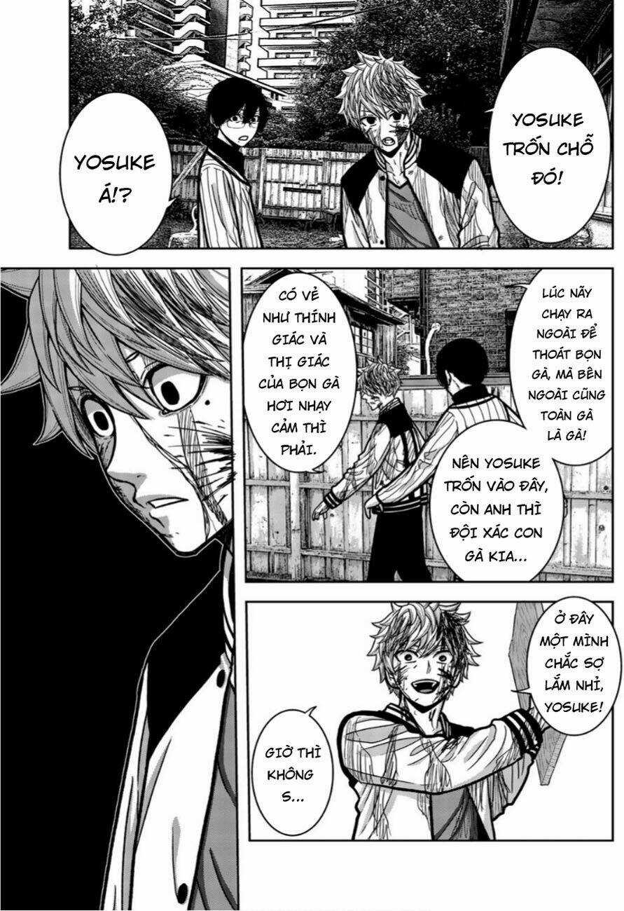 Tiếng Gáy Sát Thủ - Chapter 17 - Trang 5