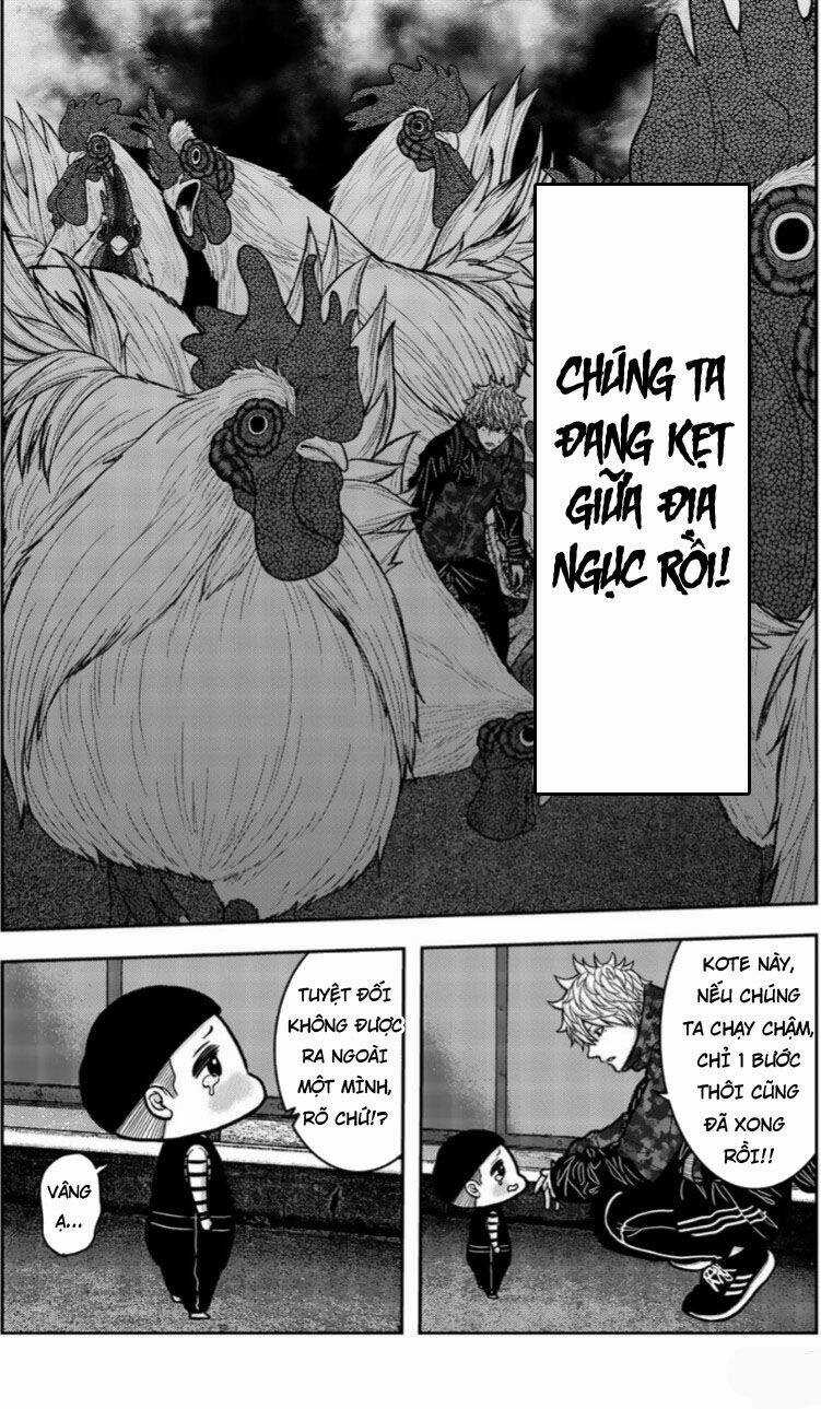 Tiếng Gáy Sát Thủ - Chapter 18 - Trang 12