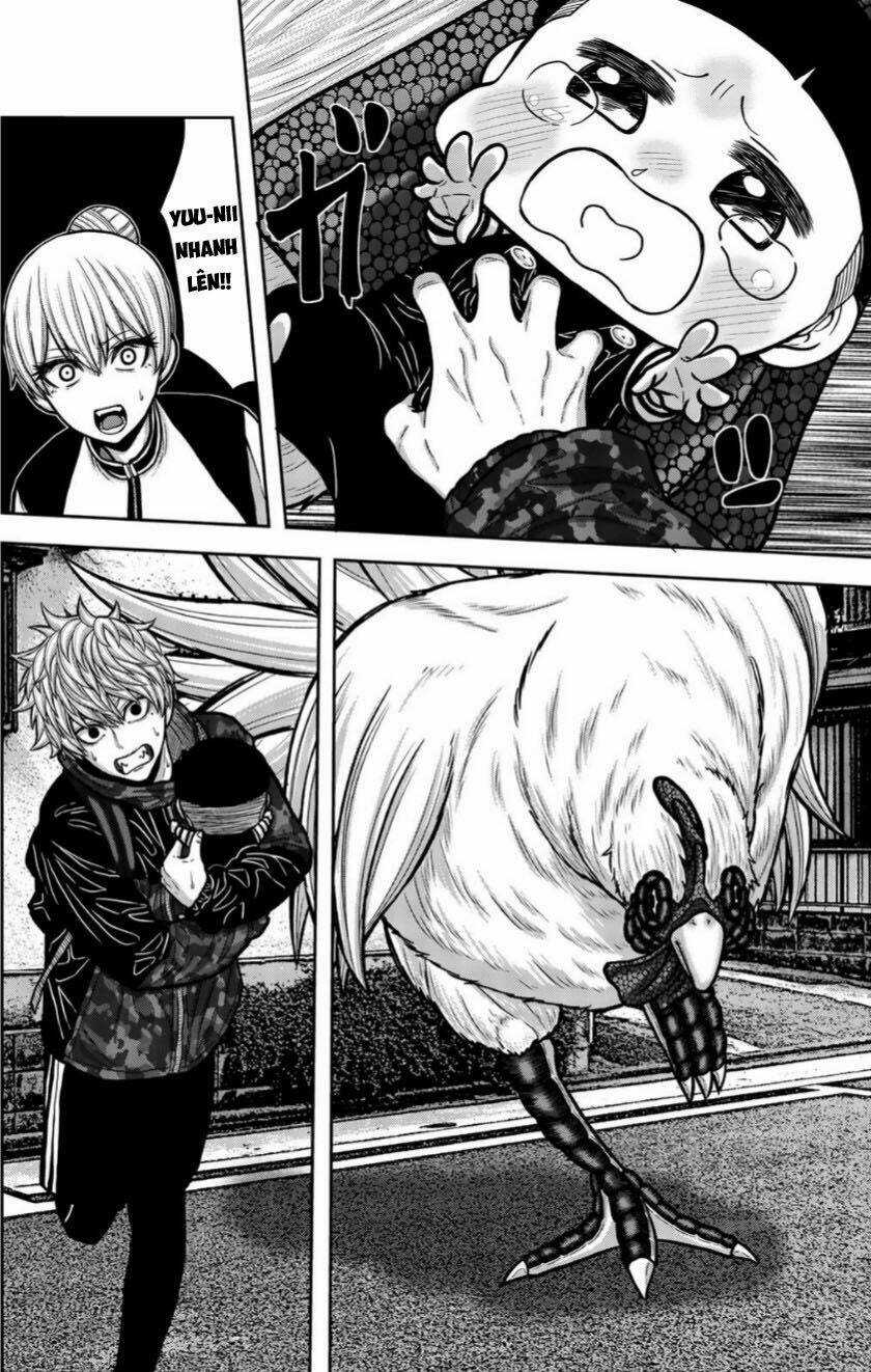 Tiếng Gáy Sát Thủ - Chapter 18 - Trang 4