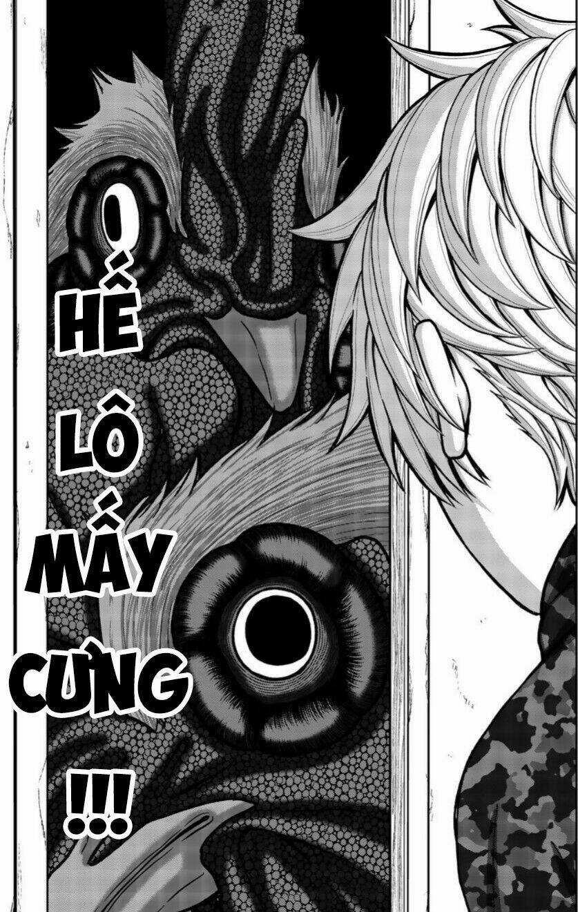 Tiếng Gáy Sát Thủ - Chapter 19 - Trang 5