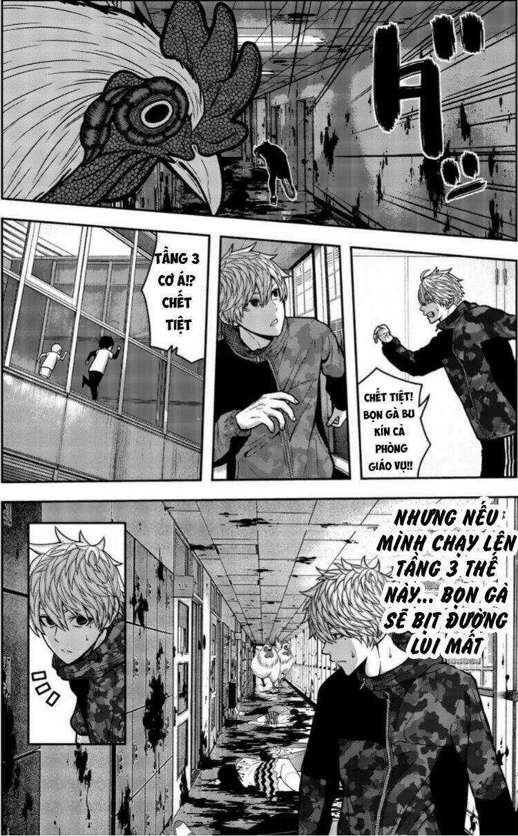 Tiếng Gáy Sát Thủ - Chapter 19 - Trang 6