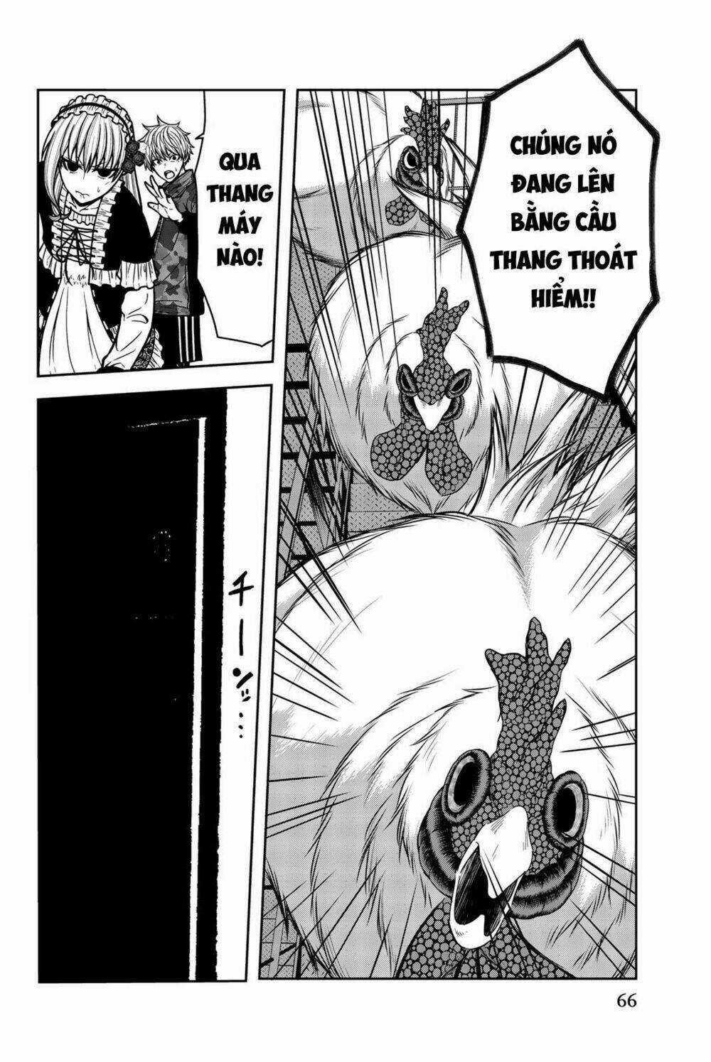 Tiếng Gáy Sát Thủ - Chapter 24 - Trang 16