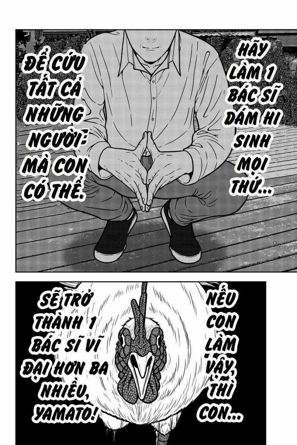 Tiếng Gáy Sát Thủ - Chapter 28 - Trang 12