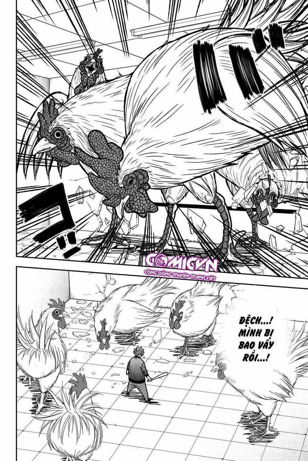 Tiếng Gáy Sát Thủ - Chapter 46 - Trang 2