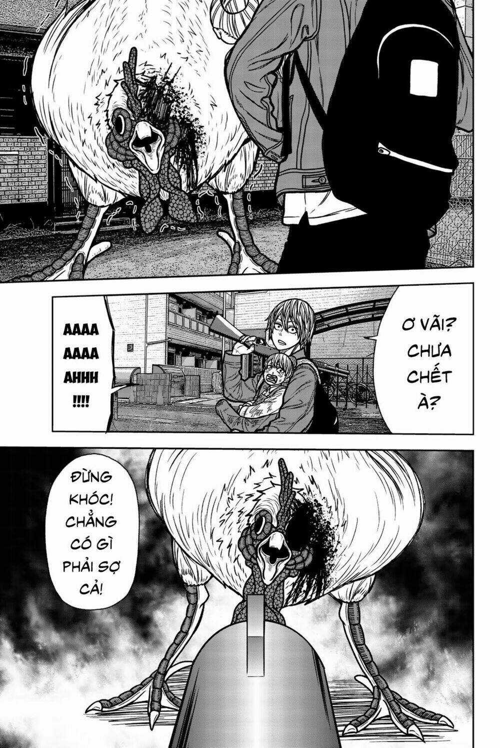 Tiếng Gáy Sát Thủ - Chapter 55 - Trang 13