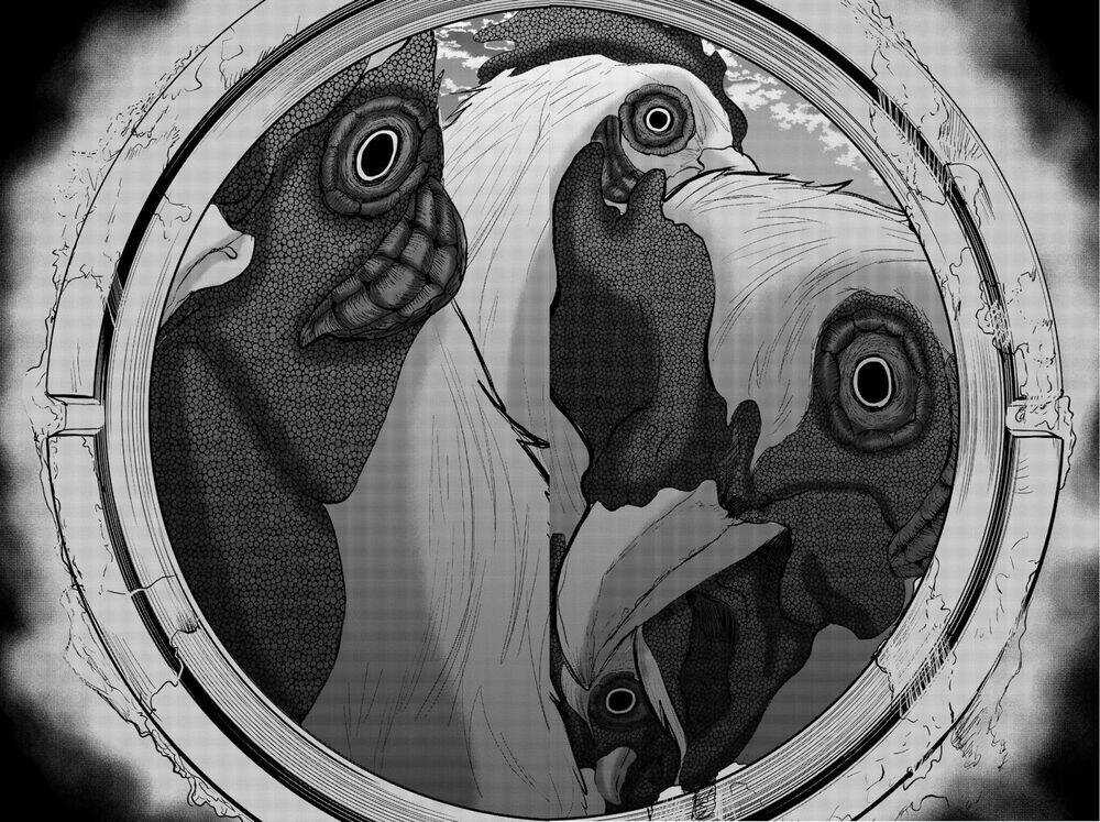 Tiếng Gáy Sát Thủ - Chapter 7 - Trang 12