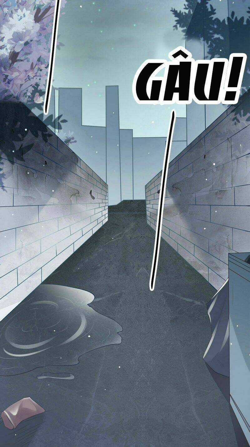 Tiểu Thịt Tươi, Đừng Chạy - Chapter 1 - Trang 7