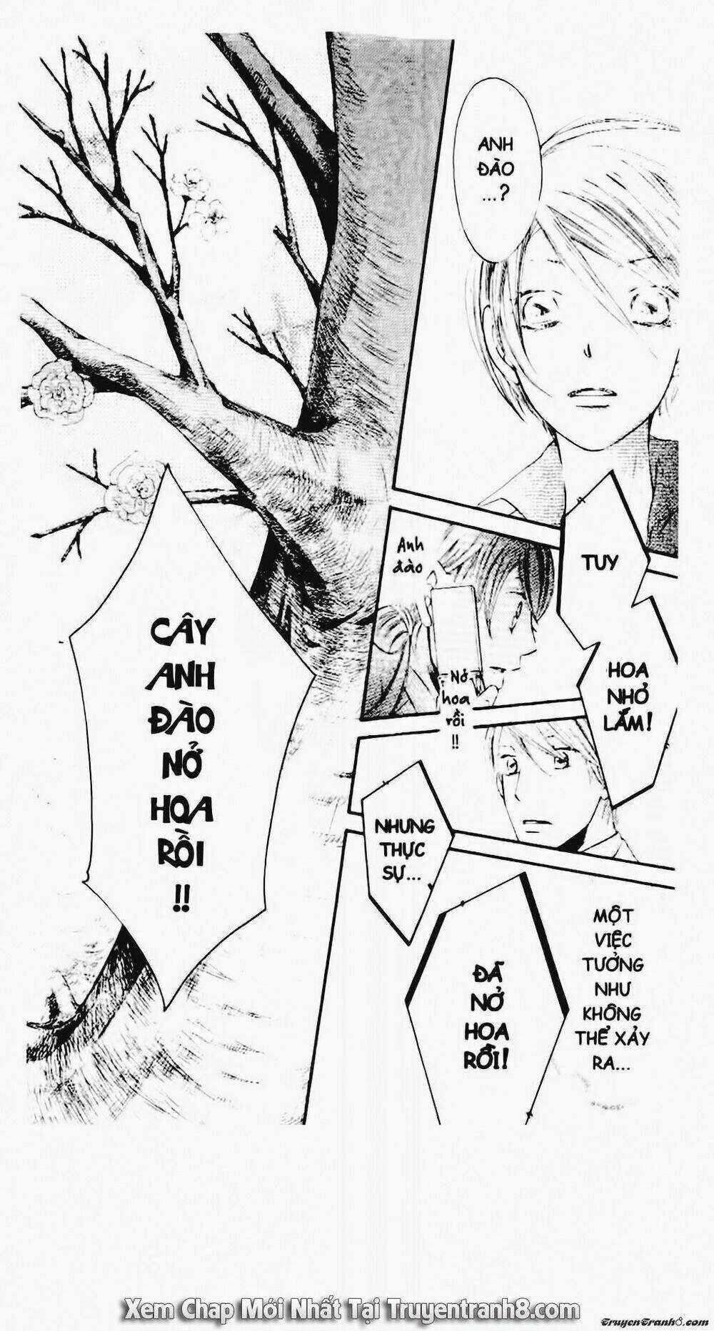 Tiểu Thư Sachie - Chapter 48 - Trang 16