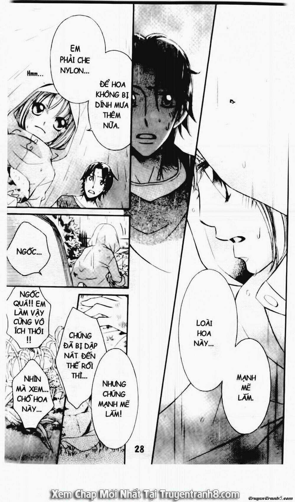 Tiểu Thư Sachie - Chapter 87 - Trang 5