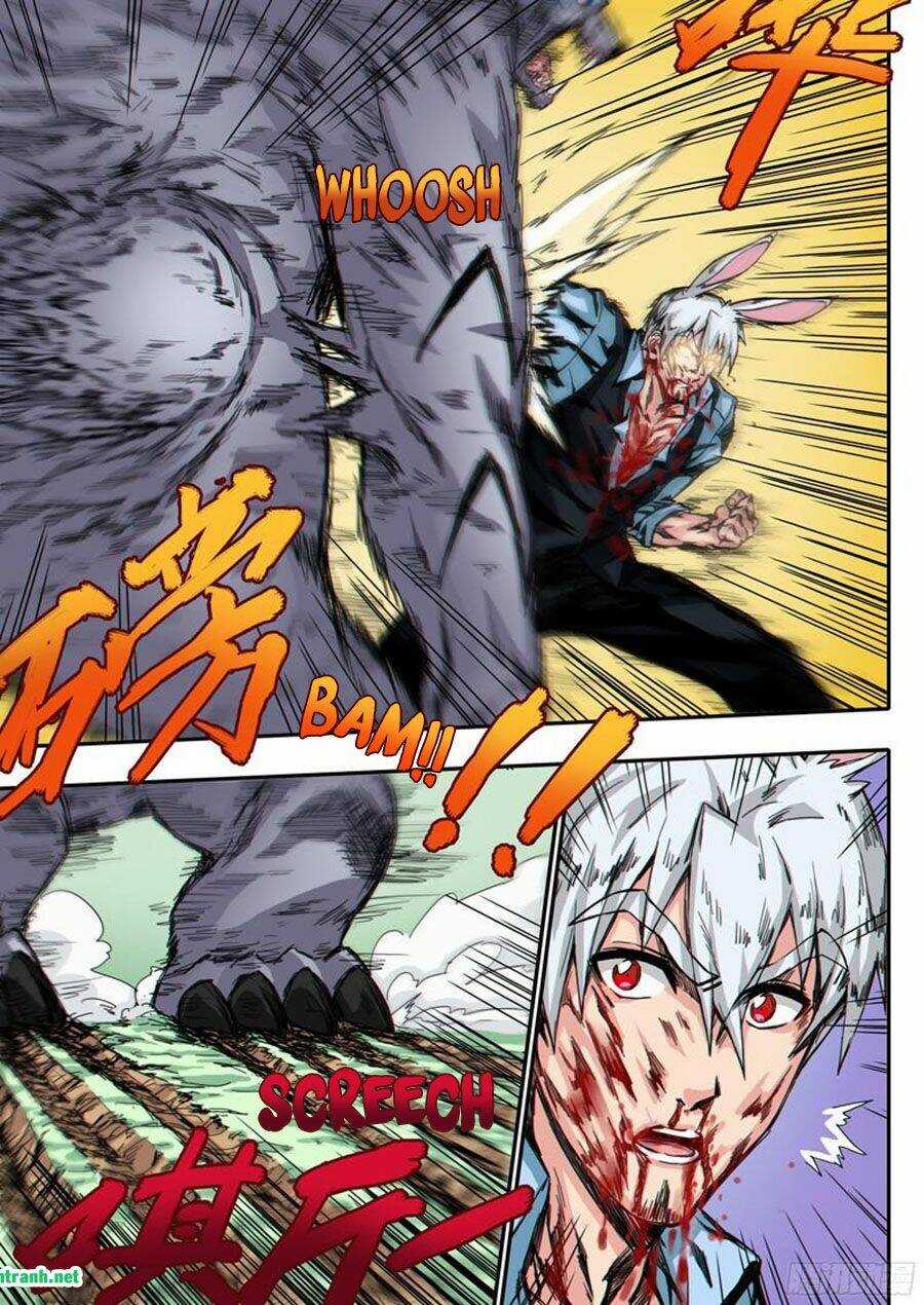 Tiger And Sharp Claws - Chapter 6 - Trang 7