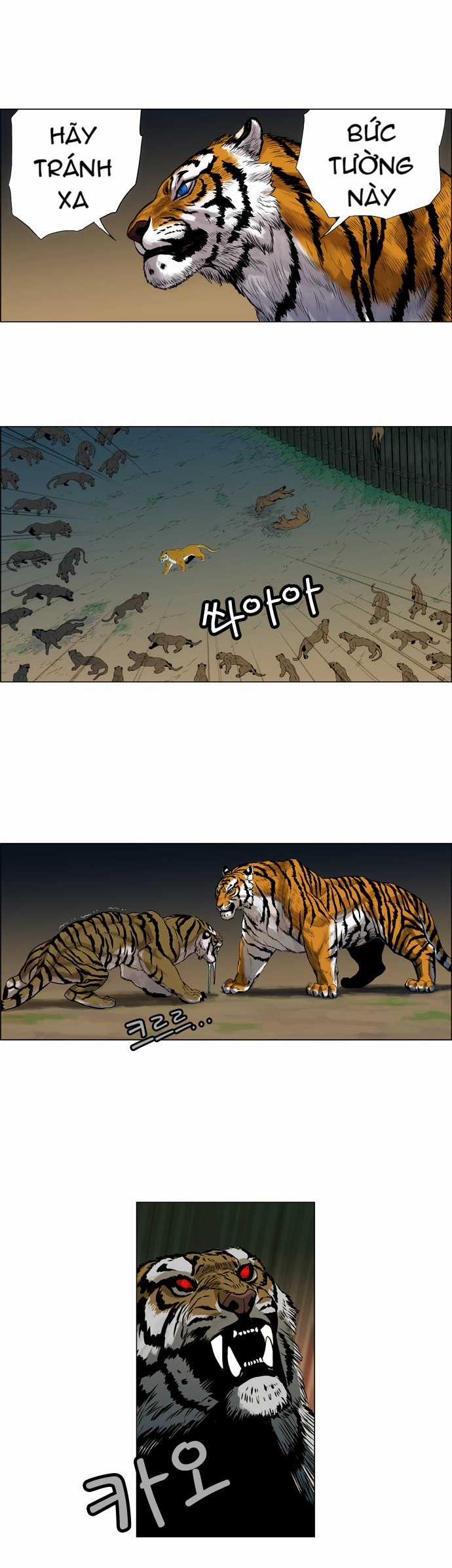 Tiger Brother - Chapter 2 - Trang 24