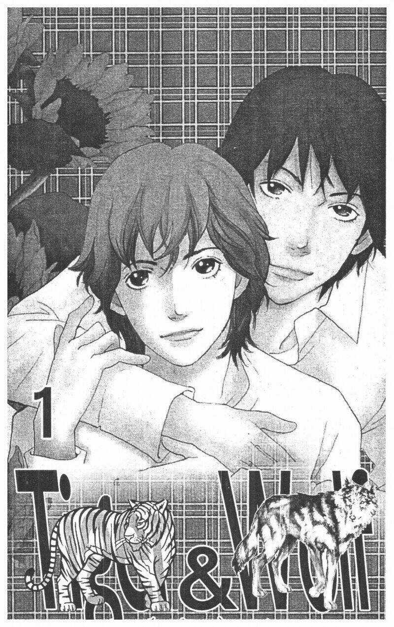 Tigers And Wolves - Chapter 1 - Trang 1