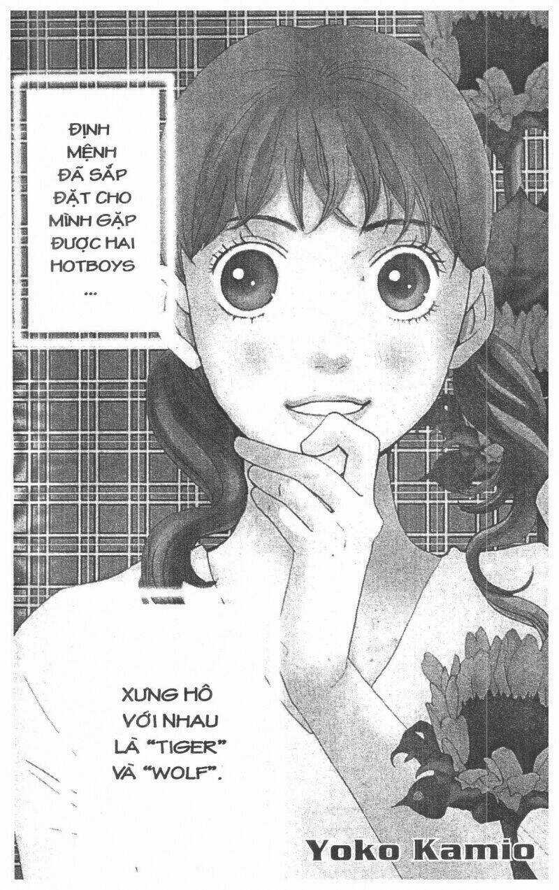 Tigers And Wolves - Chapter 1 - Trang 4