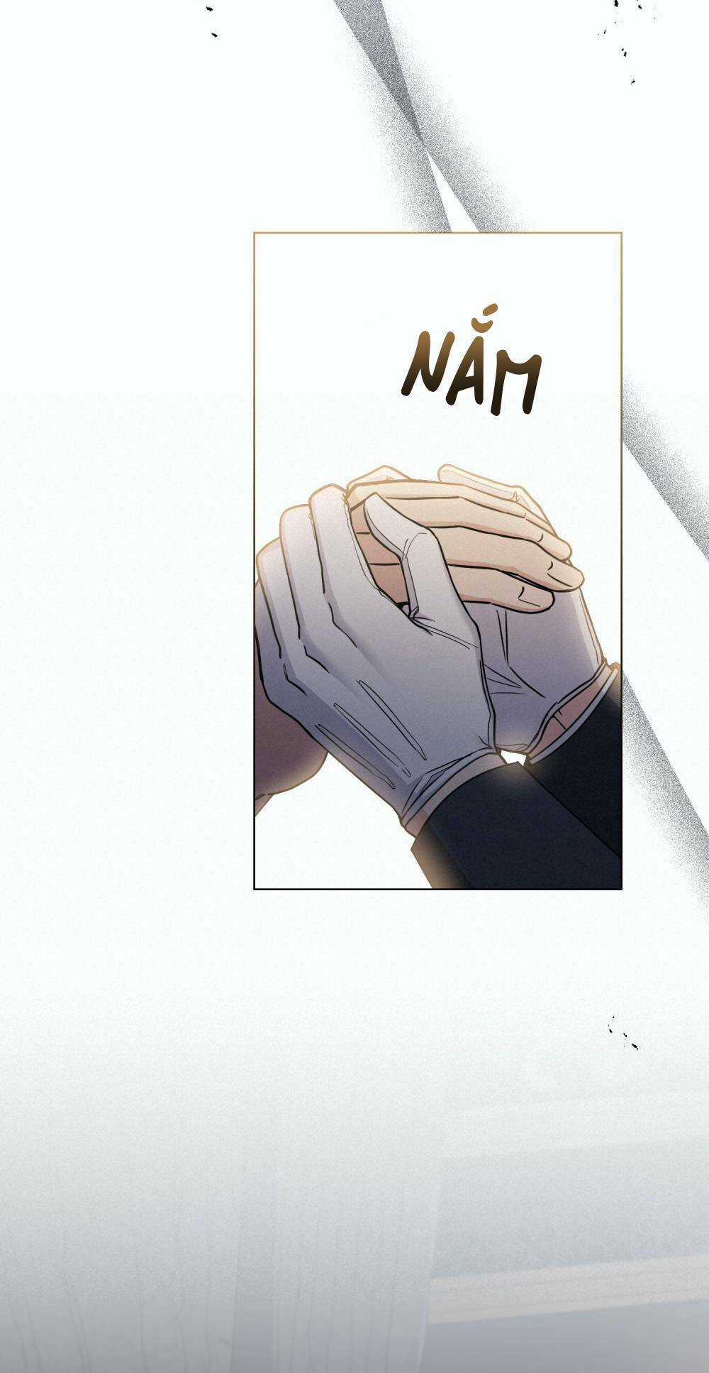 Tìm Lại Camellia - Chapter 62 - Trang 28