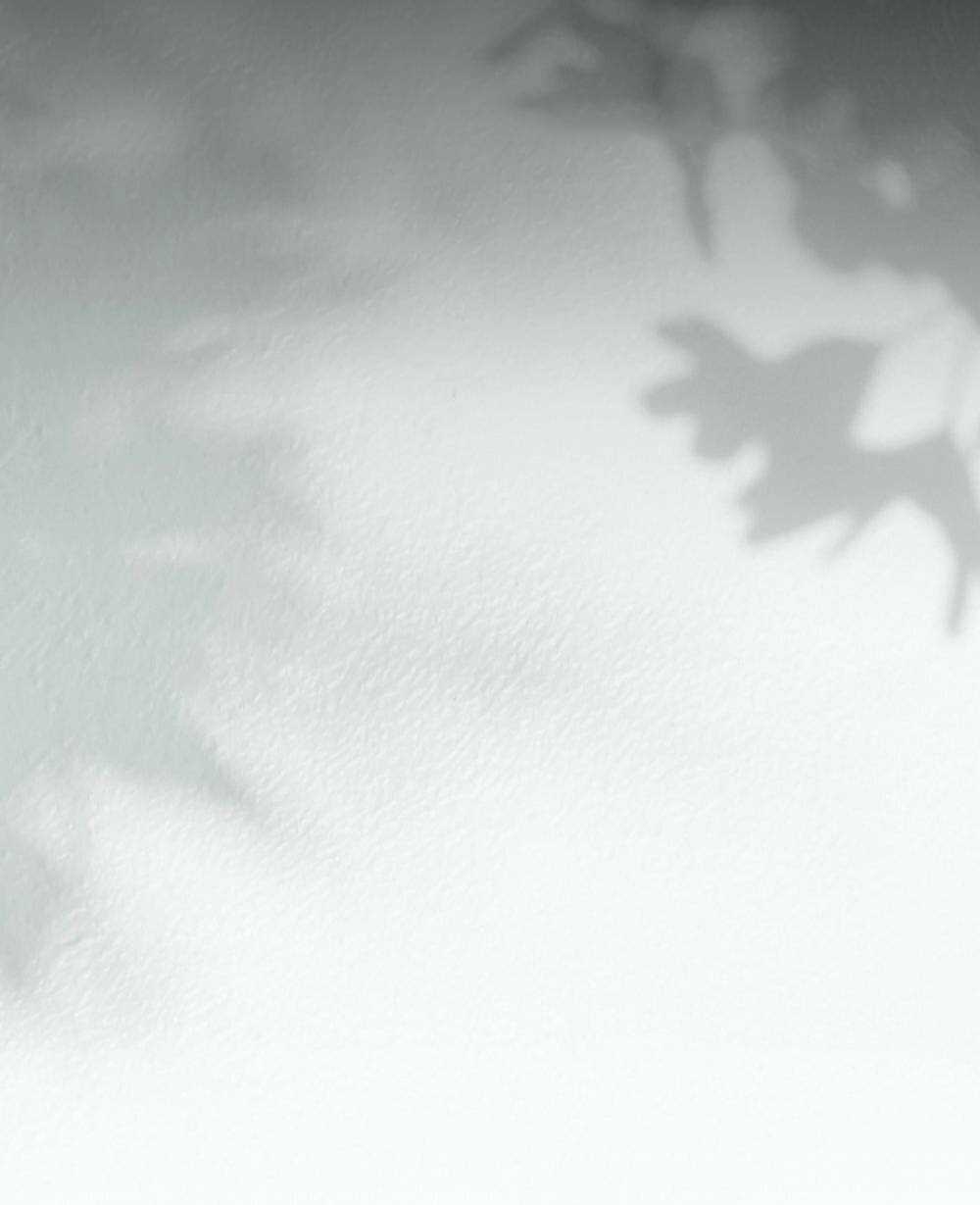 Tìm Lại Camellia - Chapter 63 - Trang 78