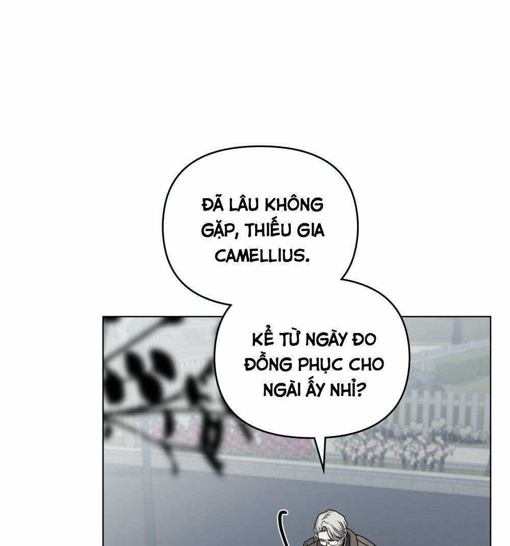 Tìm Lại Camellia - Chapter 64 - Trang 3