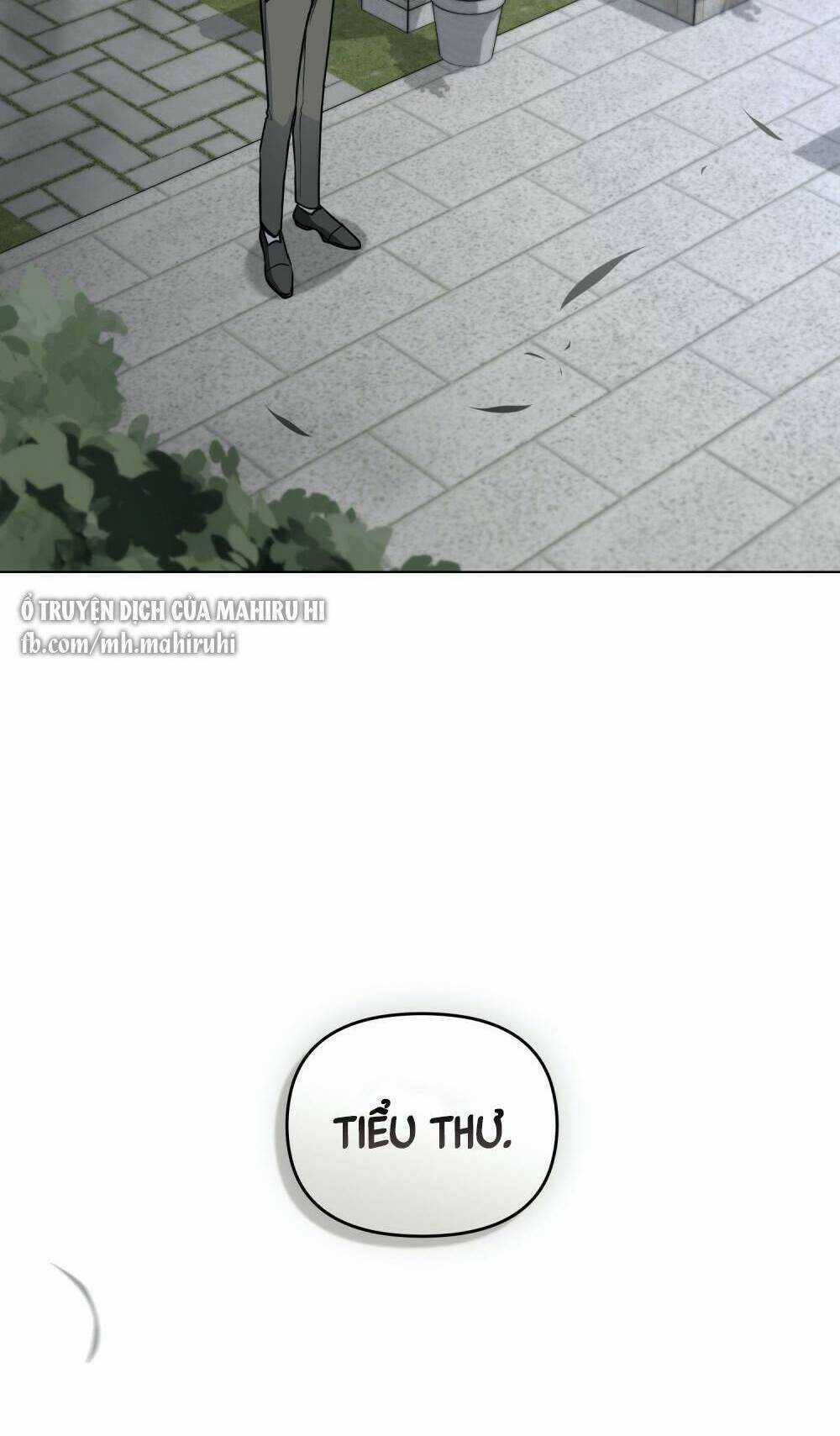 Tìm Lại Camellia - Chapter 64 - Trang 23