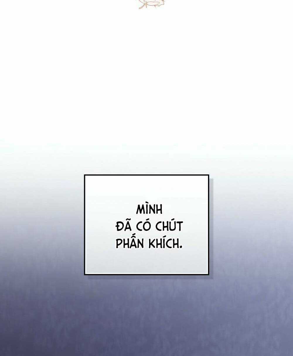 Tìm Lại Camellia - Chapter 65 - Trang 26