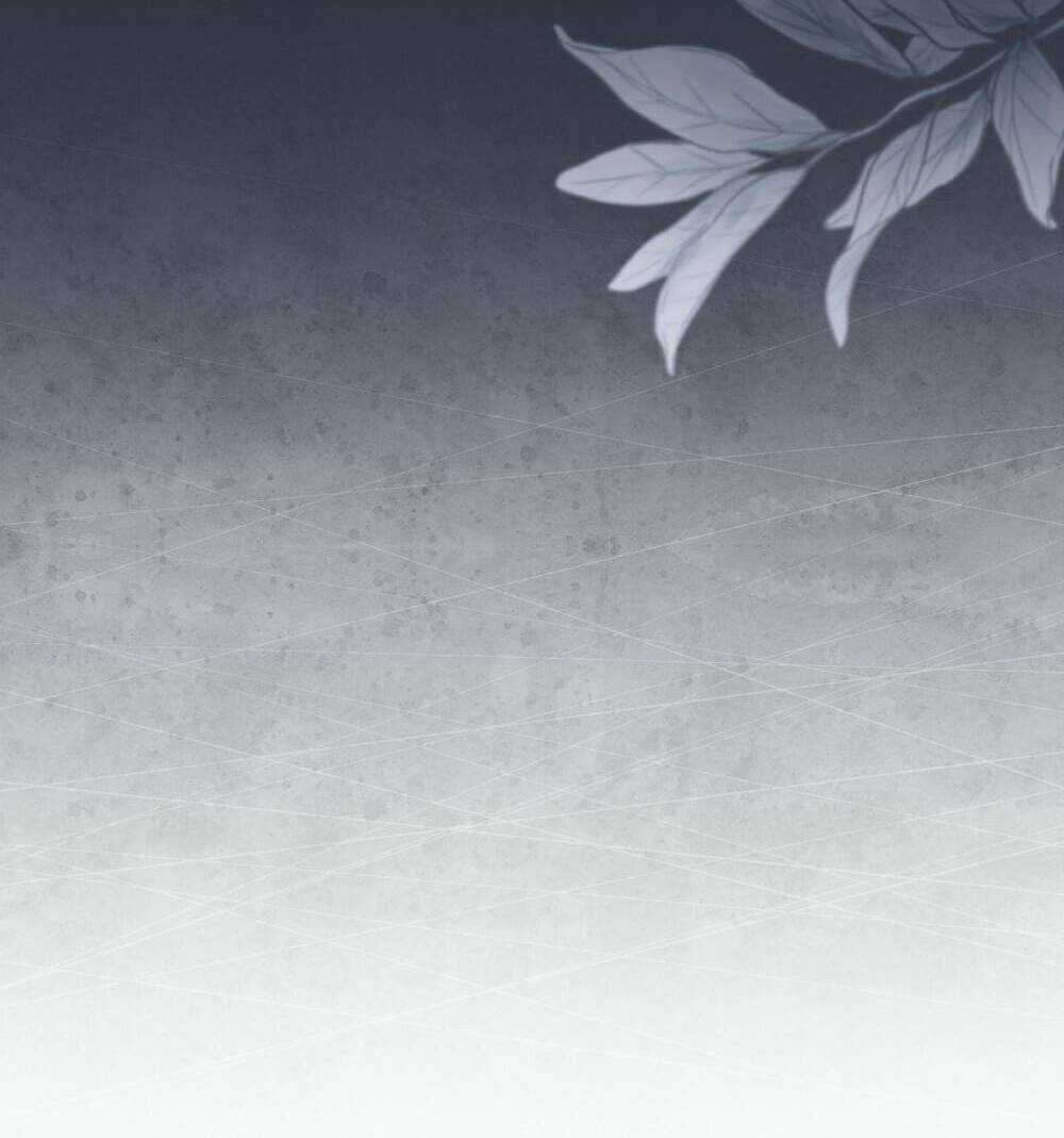 Tìm Lại Camellia - Chapter 65 - Trang 37