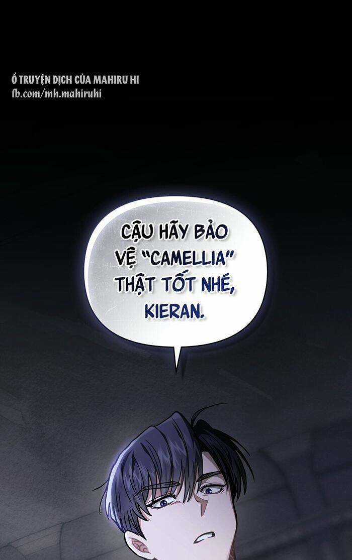 Tìm Lại Camellia - Chapter 67 - Trang 33