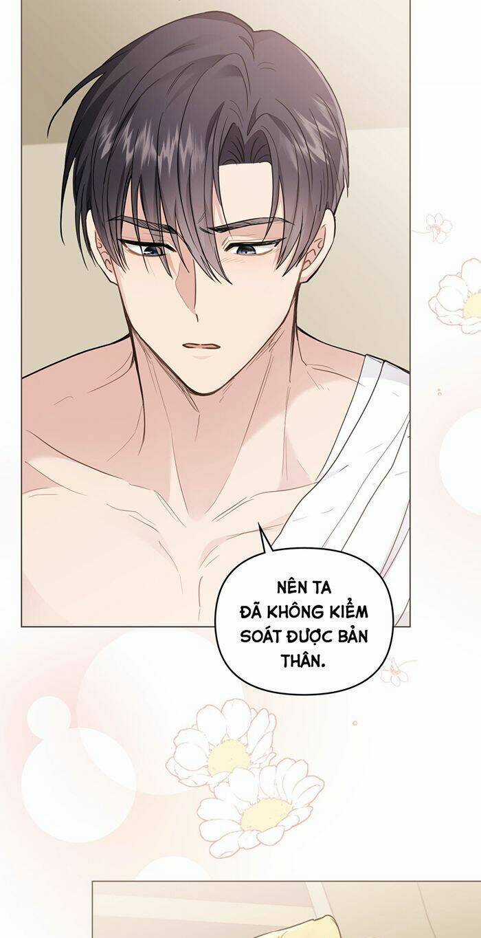 Tìm Lại Camellia - Chapter 69 - Trang 4