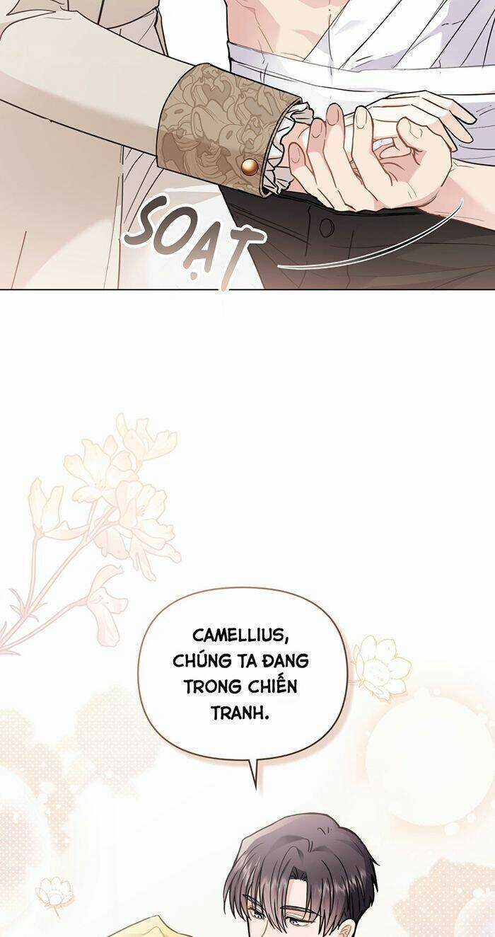 Tìm Lại Camellia - Chapter 69 - Trang 8