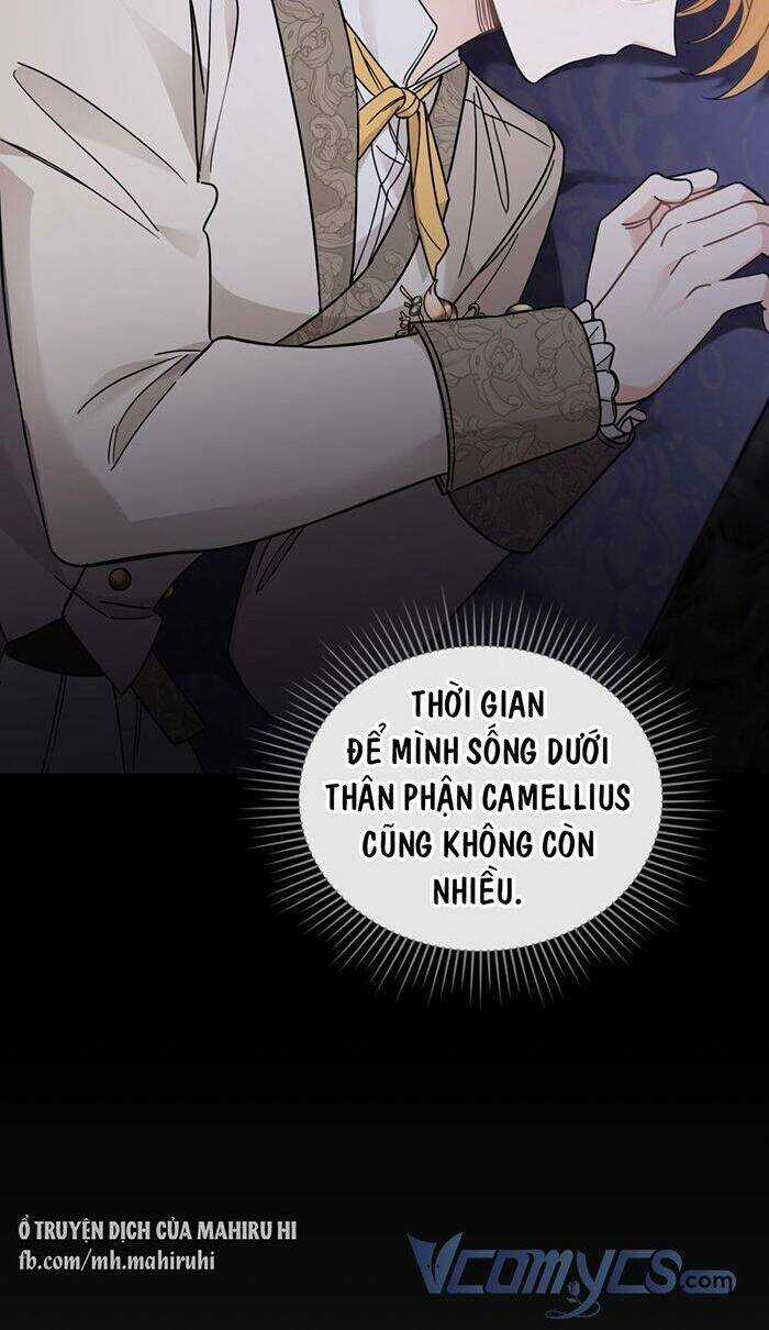 Tìm Lại Camellia - Chapter 70 - Trang 11