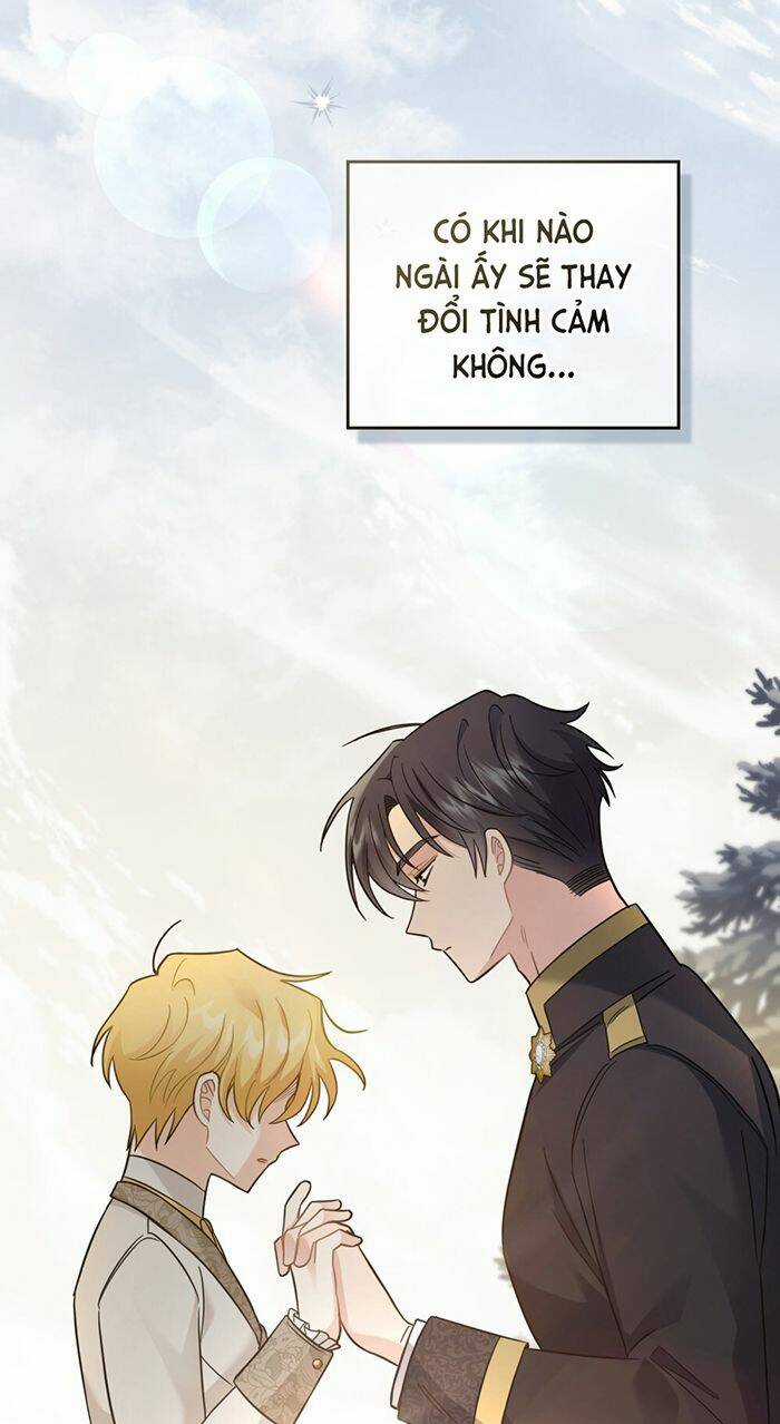 Tìm Lại Camellia - Chapter 71 - Trang 13