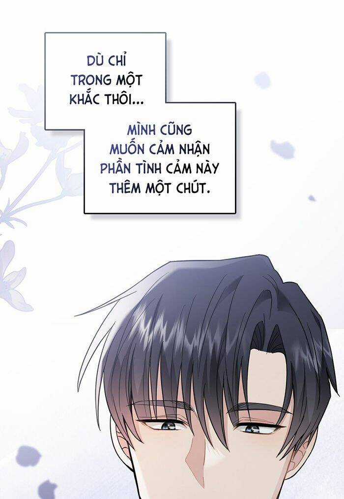 Tìm Lại Camellia - Chapter 71 - Trang 17