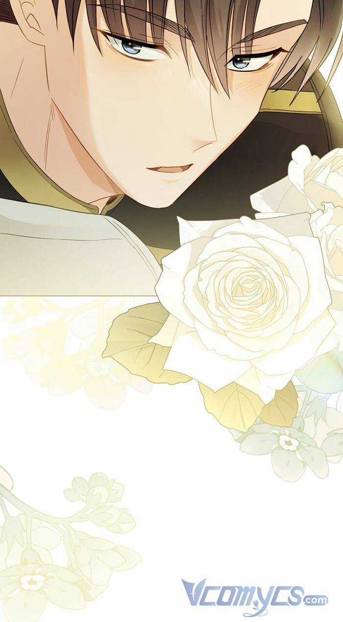 Tìm Lại Camellia - Chapter 71 - Trang 3