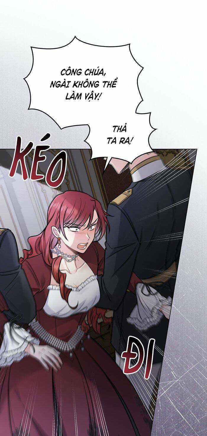 Tìm Lại Camellia - Chapter 72 - Trang 27