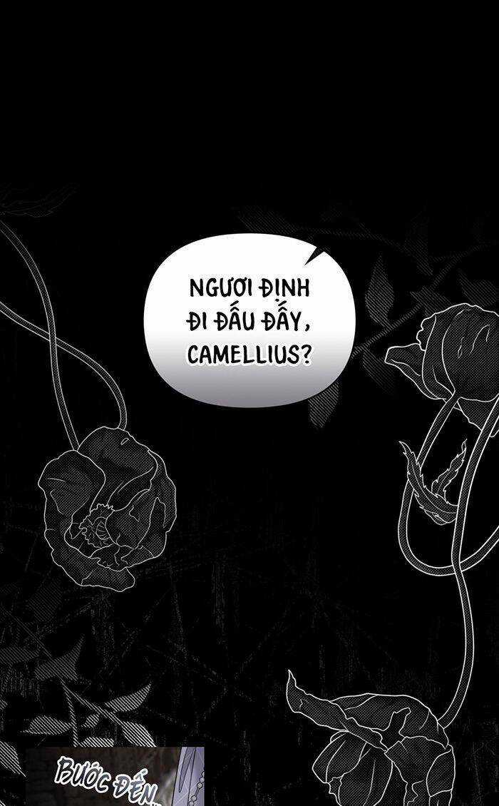 Tìm Lại Camellia - Chapter 74 - Trang 2