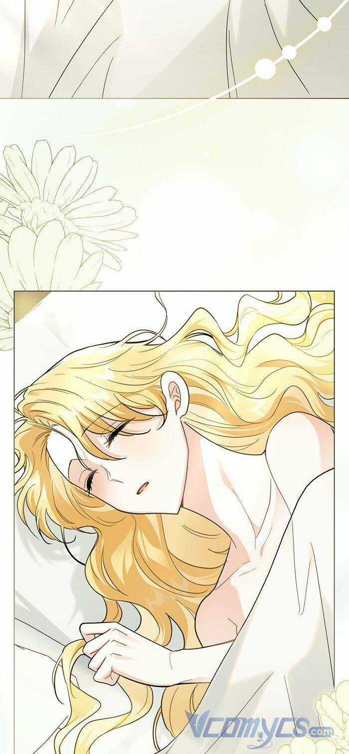 Tìm Lại Camellia - Chapter 84 - Trang 4