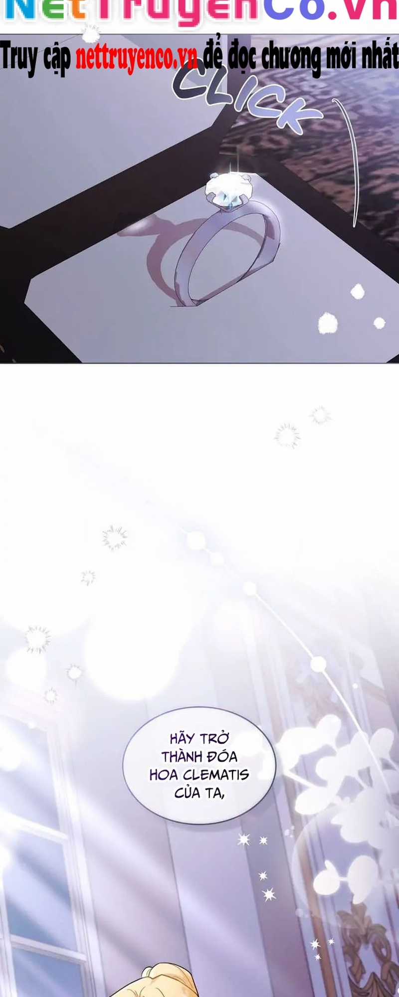 Tìm Lại Camellia - Chapter 89 - Trang 51