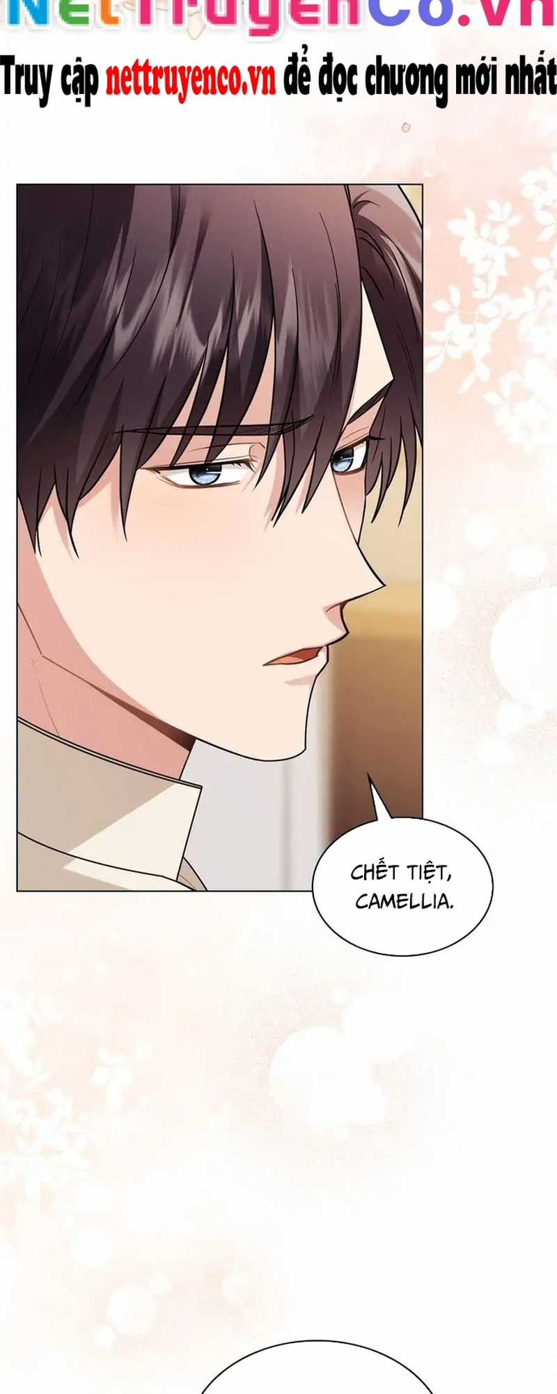 Tìm Lại Camellia - Chapter 92 - Trang 4