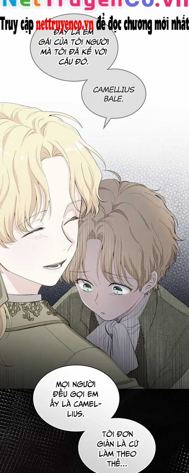 Tìm Lại Camellia - Chapter 93 - Trang 15