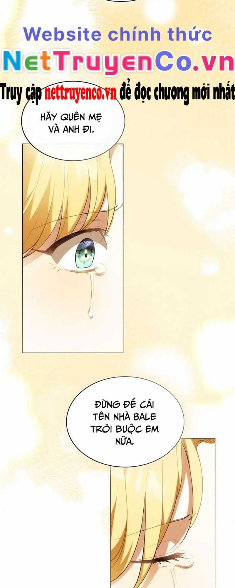 Tìm Lại Camellia - Chapter 93 - Trang 26