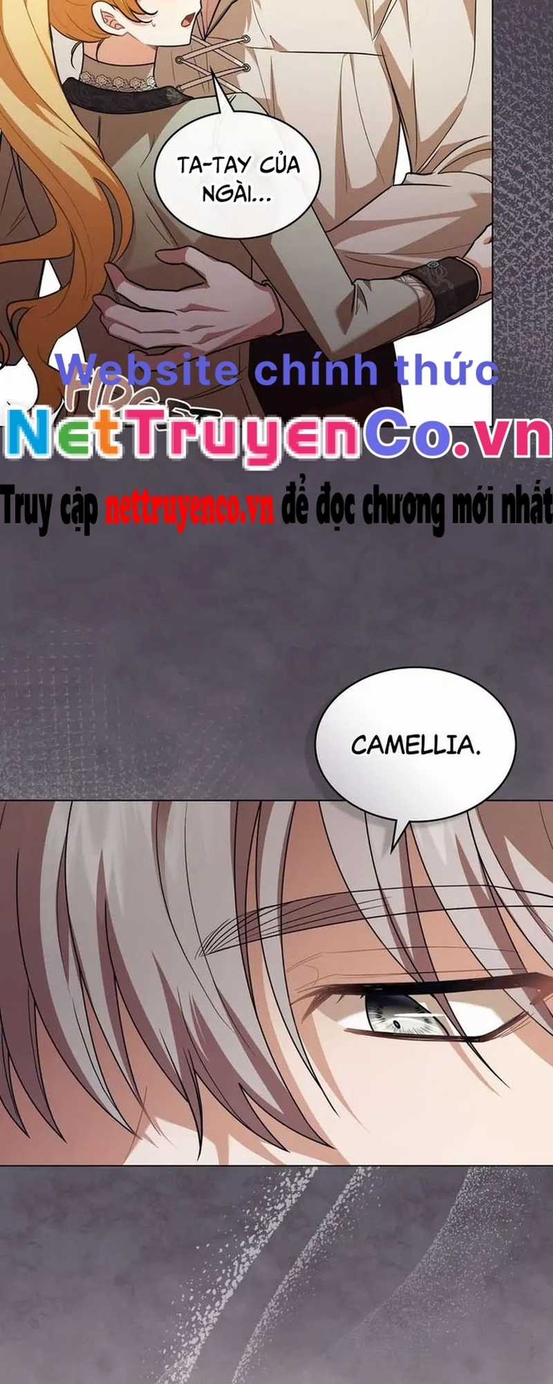 Tìm Lại Camellia - Chapter 94 - Trang 41