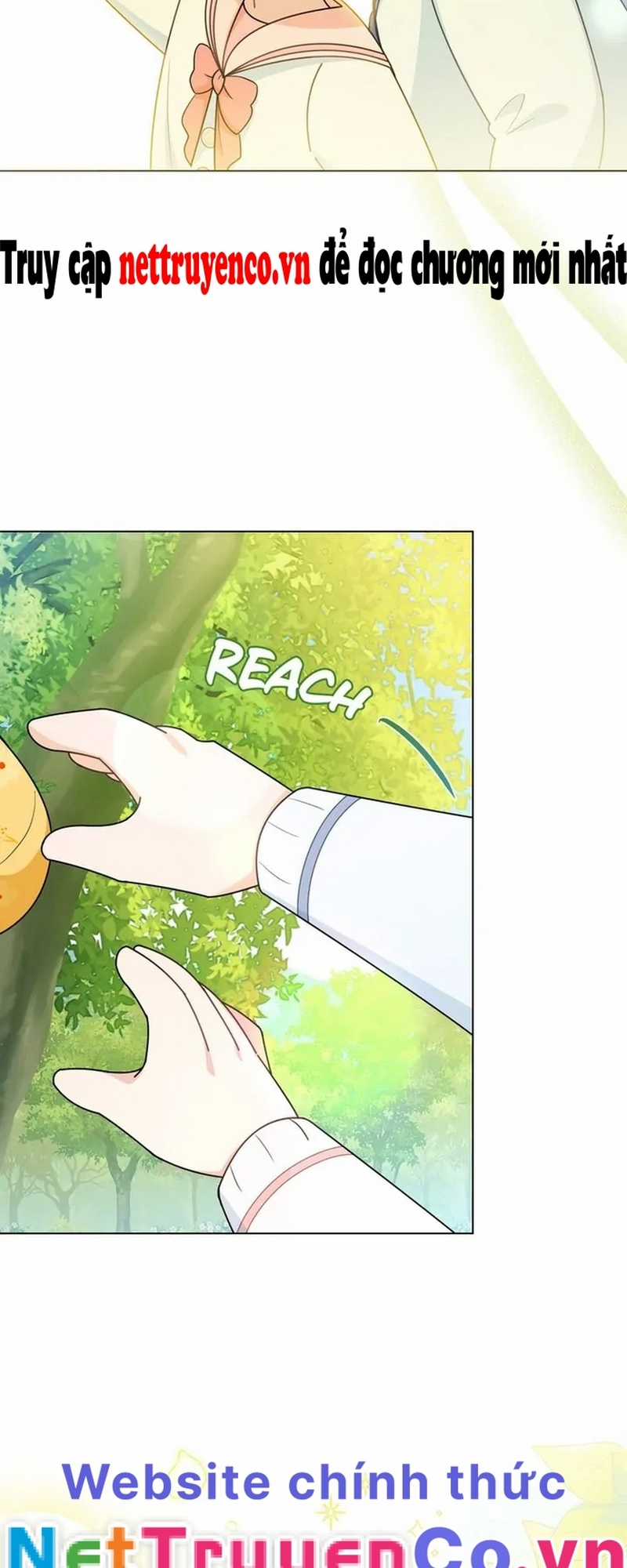 Tìm Lại Camellia - Chapter 96.1 - Trang 23