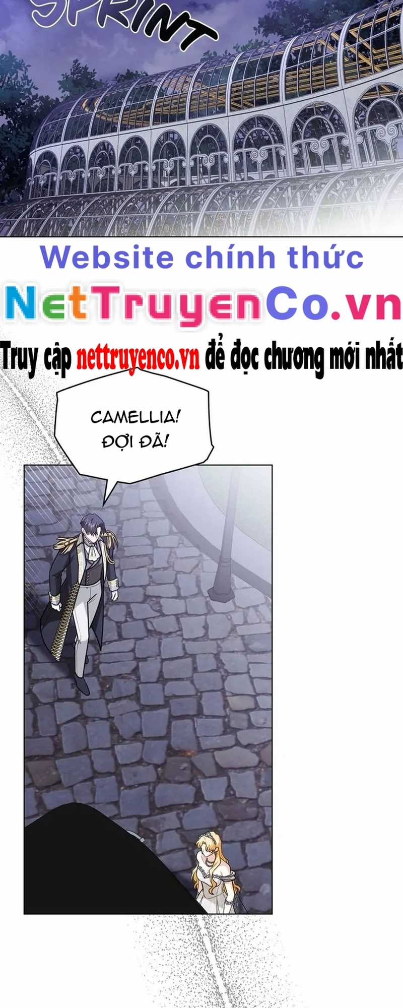Tìm Lại Camellia - Chapter 96 - Trang 51